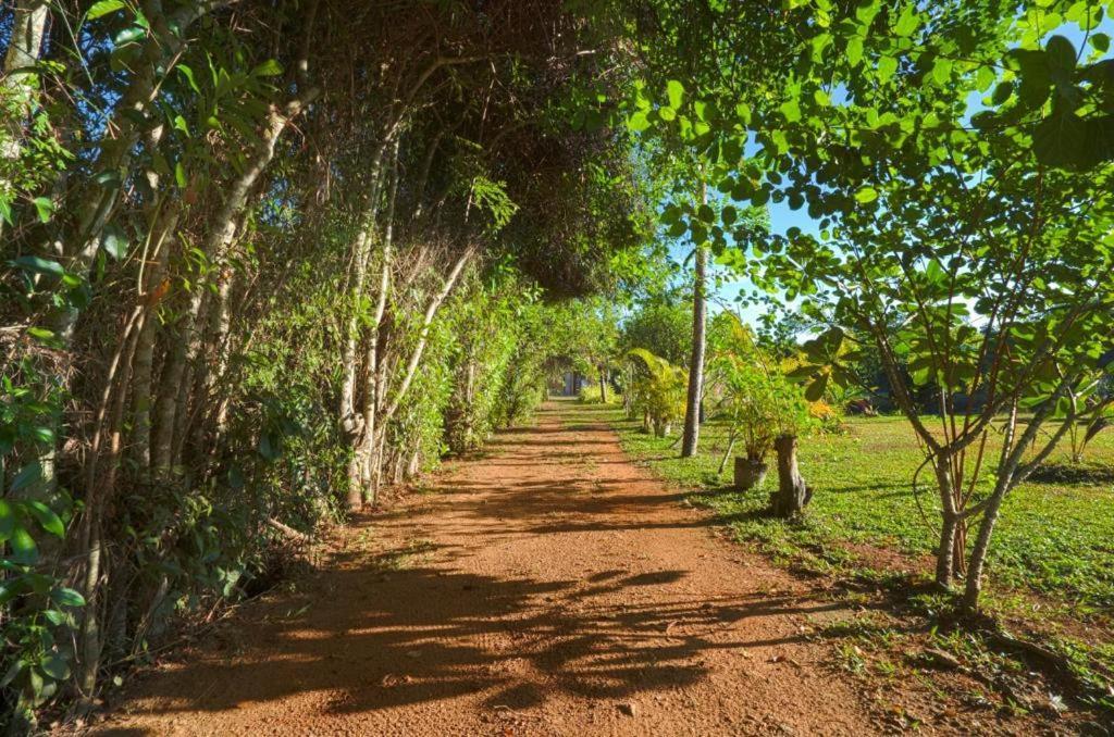 Happy Man Village Bentota Exterior foto