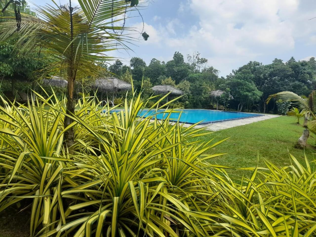 Happy Man Village Bentota Exterior foto